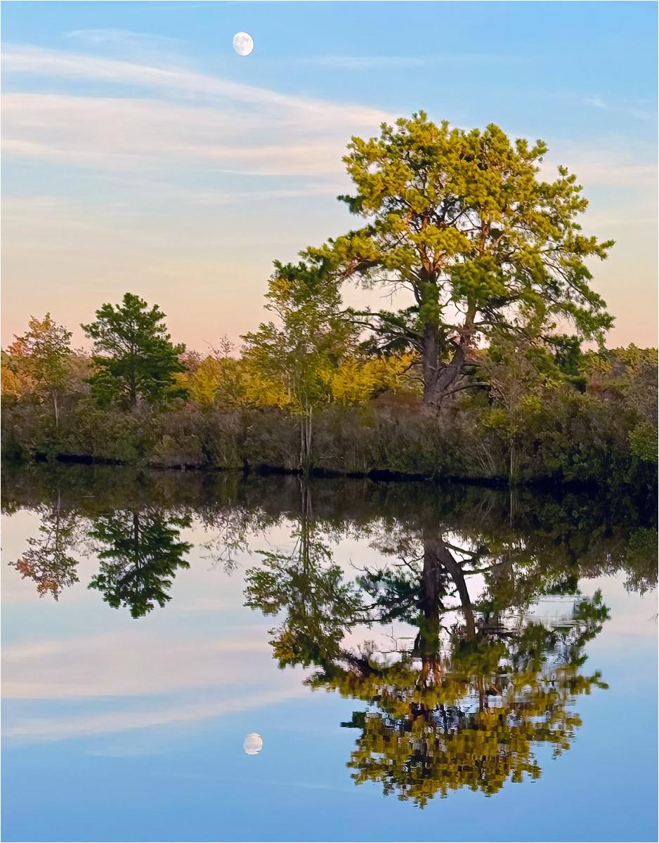 Roditski Debra Moon Over the Barrens Nature   General   Class B 20260225